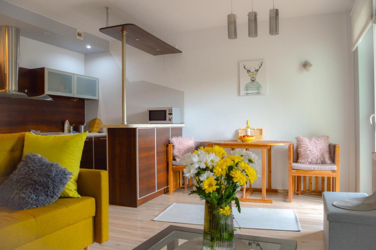 Apartament Grunwaldzka przy Łynie Olsztyn  Zewnętrze zdjęcie